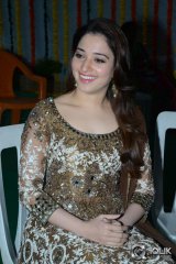 Tamannaah at Bengal Tiger Movie Opening